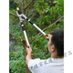 Pruning scissors, special branch scissors for fruit tree pruning, garden pruning, powerful pruning of thick branches and large branches, labor-saving, basic thickened aluminum pole, full length 60cm + SK5 blade