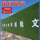 Engineering fence lawn cloth artificial simulated fake turf paving green mesh plastic carpet outdoor decoration green fence 1.5 adhesive army green 2 meters x 5 meters