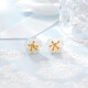 Chao Acer CHJJEWELLERY 18K gold colored gold earrings for women EEK34200058