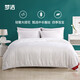 Mengjie Home Textiles 100% silk quilt jacquard fabric double quilt winter thick quilt about 4-8 Jin [Jin equals 0.5 kg] two-in-one quilt-100 large jacquard silk quilt (silk soft) 1.8/2 meter bed (248*248cm)