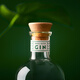 Canaima [Originalflasche importiert] Venezuela Amazon Rainforest Gin Wein 700 ml Canaima Regenwald Gin Wein 700 ml 1 Flasche