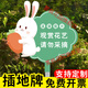 LZJV Please do not pick warning sign. Care for flowers and grass. Prompt sign. Flower and grass sign. Prohibit picking flowers. Warm reminder sign. Community garden. Xiaocao Smile 25x25cm.
