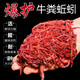 Yuyongji (YUYONGJI) live earthworm bait, fresh red worm fishing bait, crucian carp, carp, wild fishing black pit fish feed, nest making feed, fish food, live earthworms, 1 box (currency)