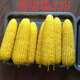 Waxy corn seeds Northeast old variety yellow sticky corn seeds - Kennian No. 1 sweet and soft waxy grains with large skin and thin skin sweet and glutinous 338 original factory original 100 grams