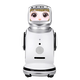 立米星空大型人工智能AI机器人小宝迎宾接待送餐生日礼物儿童早教小学初中高中家用商用一体家庭教育陪伴 黄色