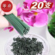 Support de plante Fanyi Support B1zo Flower Flower Flower Phalaenopsis Support Stand Modeling Support Vines et Fleurs Plante Plant Plant Support de fer [40 cm] 10 + 10 Clips fixes