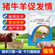 Animal husbandry, prosperity, Taibao upgraded version of veterinary pigs to promote ovulation, cattle without pens, sheep to promote estrus, three-day estrus, multiple placenta, 150g/bag