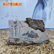 Büro des General Managers Office Desk Ornamente Taihang Mountain Strange Stone Natural Carving Taihang Stein schnitzen natürliche Strange Stein Fischtank Landschaft milchig weiß 3891