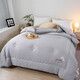 Arctic velvet quilt winter quilt core soy fiber quilt core thickened to keep warm spring and autumn quilt double quilt dormitory single four seasons cotton linen soy quilt - gray 200*230cm (thick winter quilt about 10 Jin [Jin equals 0.5 kg])