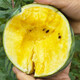 Dayu Yellow Heart Watermelon Seed Seedlings, Early Mature, Yellow Skin, Red Flesh, Yellow Flesh, Special Xiaofeng Watermelon Seeds, Southern Fruit, Yellow Flesh, Xiaolan Watermelon Seeds, 10 capsules