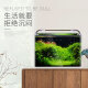 Sensen ultra-white glass small fish tank HRK-500 set (50cm long) hot-bent glass + filter + water plant lamp