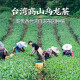 Xinqi Xiang Yanding Oolong Tea Authentic Taiwan Native Gaoshan Tea Dragon Boat Festival Día de regalo del padre 300G Oolong Simple Pack Simple Fire 150g*2 Pack