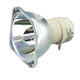 Whalemi BenQ Projector Light Bulb Original Naked Light Bulb Suitable for BenQ Projector The actual object shall prevail Original Naked Light Bulb MU686 [Photo after quotation, single shot will not be sent]