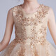 Dev Ake Kinderkleid Girl Prinzessin Rock Moderatorin High-End Piano Performance Evening Kleid Little Girl Hochzeit Sommer Big Boy BX683 Langarmer Champagnerfarbe 120 (Empfohlen 34-40 Jin [Jin gleich 0,5 kg])