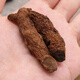 Jianyi Nian Yunnan Blood Panax Notoginseng Blutergüsse und Verletzungen, die in Wein medizinischer Wein medizinische medizinische Materialien eingeweicht werden können, können zu Pulver und Blut erschöpft werden. Das ganze Stück Blut Panax NotoginSeng 500g