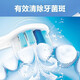 美天莱适配飞利浦电动牙刷头替换通用HX680p/680q/680c/681a/680j/682p 无铜呵护型6支