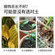 Dewoduo plant nutrient soil universal 25L flower growing soil vegetable potted flower potted succulent planting soil organic matrix soil