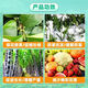 Xiaokang Chuangfeng Fengmeipinium Fruit, Vegetable, Wheat Pesticide Plant Growth Regulator 1 bottle*500g