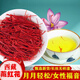 [Black Friday] Saffron es auténtico, tibetano especial azafrán salvaje de primera clase empapado en agua para promover la circulación sanguínea y eliminar la estasis de sangre. Tamponio de pecho y diafragma, calidad especial Super A Filament 1 Bottle [intente]