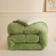 Arctic velvet quilt core thickened to keep warm lamb velvet winter quilt student dormitory single quilt plus double home cover quilt beautiful - bean green [double-sided velvet quilt] 150x200cm6Jin [Jin equals 0.5 kg] (winter quilt)