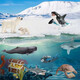 [70% neu] Dise Marine Animals Delphin Model Toys Jungen und Mädchen Marine World Early Education Cognition Kinder simulierte Tierspielzeugdolphin14699/14808