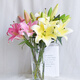 Yue Colorful AB grade high-quality perfume lilies, various living flowers for home and office, Kunming base, freshly picked for straight hair, 10 random single-color lilies (5 branches for double heads)