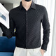 Mr. Guan Frühlings- und Herbst-Herren-Gelegenheits-Langarm-Hemd Solid Color einfache Eisenfreie und gut gemischtes inneres Hemd Trendy Herbst- und Winterbasis-Hemd HF687 Black XL