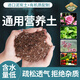 Dewoduo plant nutrient soil universal 25L flower growing soil vegetable potted flower potted succulent planting soil organic matrix soil