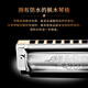 SEYDEL德国进口SEYDEL赛德 十孔10蓝调成人口琴 1847 CLASSIC 10孔G调