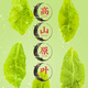 
Fumingyuan Tea Oolong Tea Anxi Tieguanyin 500g Special grade 2025 New Tea Spring Tea Gift Box Gift