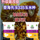 New insect-resistant version of Pioneer Xianyu 335 nationally approved corn seeds, high-yielding corn seeds, good seeds from the north and south. Insect-resistant version of Xianyu 335 original 1 bag 4400 grains