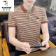 
Woodpecker (TUCANO) ice silk short-sleeved T-shirt men's summer 2025 new striped Polo shirt T-shirt trendy men's casual top Y6626 gray XXL
