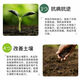 Mineral potassium fulvic acid raw powder humic acid foliar fertilizer organic fertilizer rooting and seedling water-soluble fertilizer 5 kg packaging