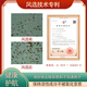 乔康破壁灵芝孢子粉50g三萜≥10.5%体质虚弱增强免疫力有机专利破壁 2盒价(实发3盒共150g)