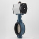 
Short cloud pneumatic butterfly valve D671X-16Q clamp valve stainless steel DN50 65 80 100 150 250 300 ductile plate DN100