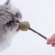 Leyoupai Catnip Lollipops, Wooden Polygonum Catnip Balls, Cat Toys, Cat Teething Sticks, Pet Supplies, Cat Grass Candy, Cat Snacks