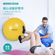 Theratools Pasteur Ball Rehabilitation Training Yoga Ball 55cm Balance Ball Explosion-proof Fitness Adult Pregnant Women Dragon Ball Children's Sensory System Silver Professional Model 85cm Suitable for Sensory Training