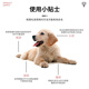 AFTER AUTUMN Dog Needle Comb Pet Comb Dog Hair Comb Dog Special Comb Dog Shedding Artifact Cat Comb Teddy Comb To Make Hair Fluffy 9502A Small Blue 16cm*8.8cm