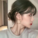 Idel Hong Kong Style Earrings Fashion Earrings Korean Temperament Internet Celebrity Circle Personality Simple Cold Style Women 2025 Fashion Earrings Golden Korean Style E0016