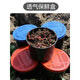 Yuyongji (YUYONGJI) live earthworm bait, fresh red worm fishing bait, crucian carp, carp, wild fishing black pit fish feed, nest making feed, fish food, live earthworms, 1 box (currency)