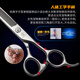 Xuanniao professional pet scissors, dental scissors, thinning scissors, 6.5-inch Teddy dog grooming and trimming scissors, 6.5-inch dental scissors