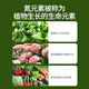 Basemanwei urea flower fertilizer for growing vegetables, flowers and vegetables, potted organic fertilizer, nitrogen fertilizer, chemical fertilizer, general agricultural landscaping 2Jin Jin equal to 0.5kg