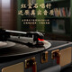 Fei Shuai vinyl record player Bluetooth audio phonograph record player retro all-in-one birthday gift annual party group purchase gift Valentine's Day gift home decoration March 8th Goddess' Day Bronze Black (the store manager highly recommends versatile home gifts)