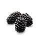 Driscoll s Blackberry 125g