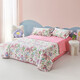 Luolai Quilts para niños para colchas para niños para acondicionadores de aire acondicionados de verano y edredones delgados para los estudiantes de dormitorio individual de verano pueden lavar edredones de verano Story Story Clase A Algodón de algodón 120*150 cm