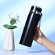 Shuqule 316 stainless steel thermos kettle can be customized for boys business simple capacity kettle outdoor sports portable car steel color 600ml