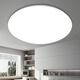Micro ceiling lamp LED super bright home living room bedroom kitchen lamp round staircase balcony simple 24W 26CM white light promotion