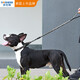 DOGNESS dog leash, dog leash, telescopic, explosion-proof, medium and large dog border collie, Labrador golden retriever, black L