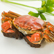 Male Crab Fresh Yellow River Estuary Hairy Crab 2.3-2.7 taels/piece