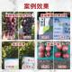 进口比瑞时688高能亚磷酸有机液体肥蔬果专用肥膨果提糖转色增香 比瑞时 1kg*1瓶